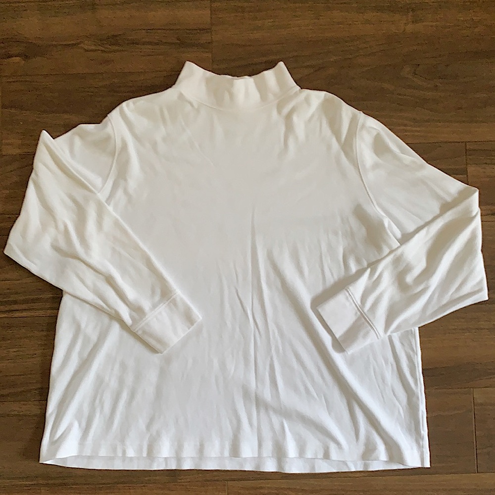 EUC - Lands’ End mock turtleneck